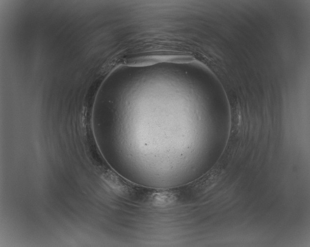 X0000056320275200509021611