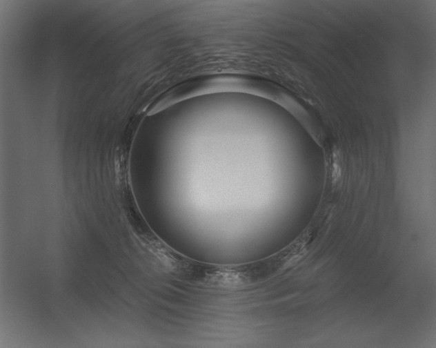 X0000056320276200509021611