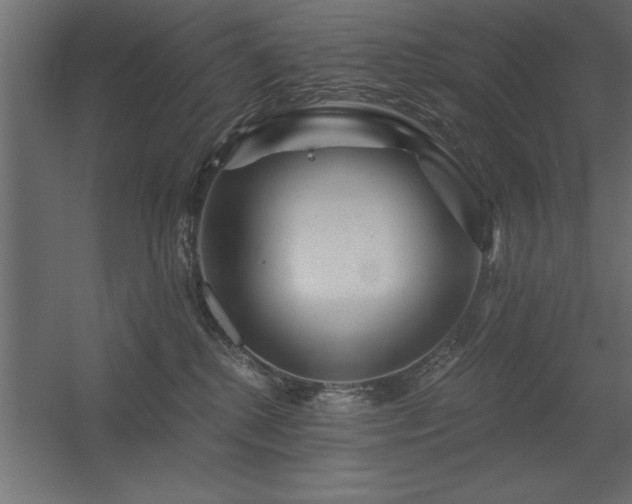 X0000056320280200509021611