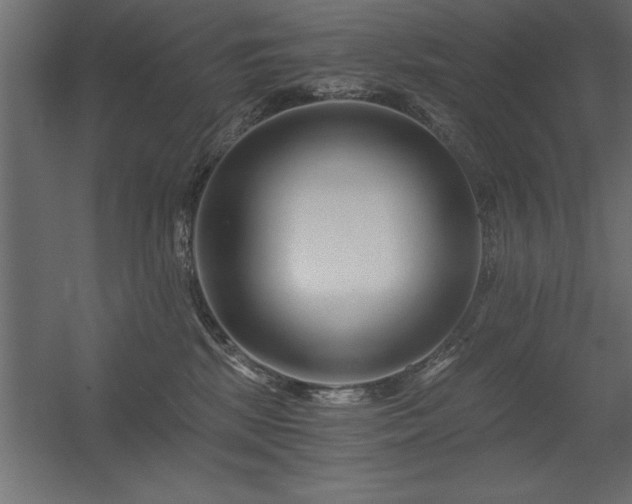 X0000056320281200509021611