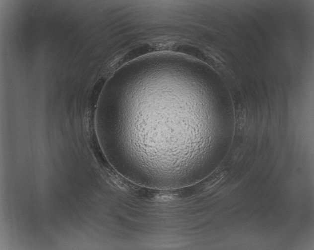 X0000056320283200509021611