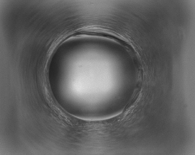 X0000056320289200509021610