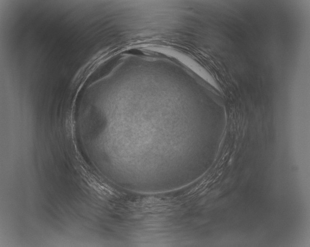 X0000056320290200509021610