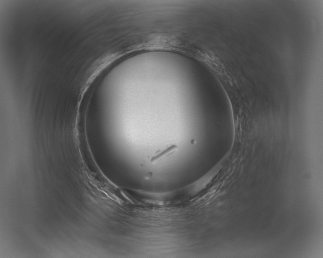 X0000056320292200509021610