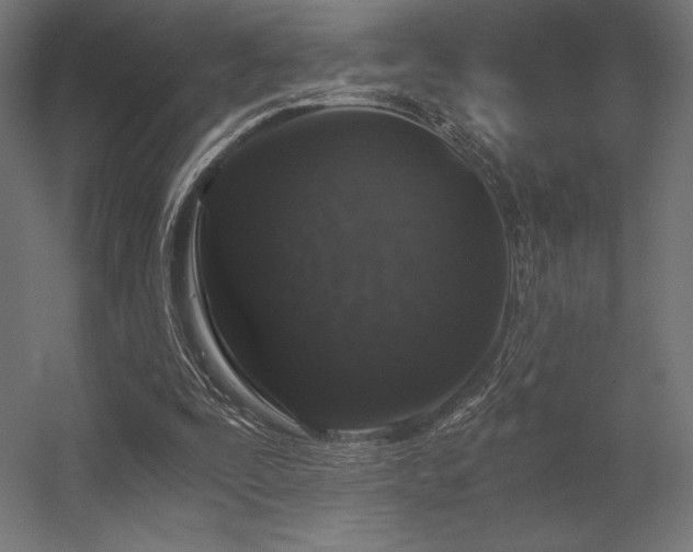 X0000056320295200509021610