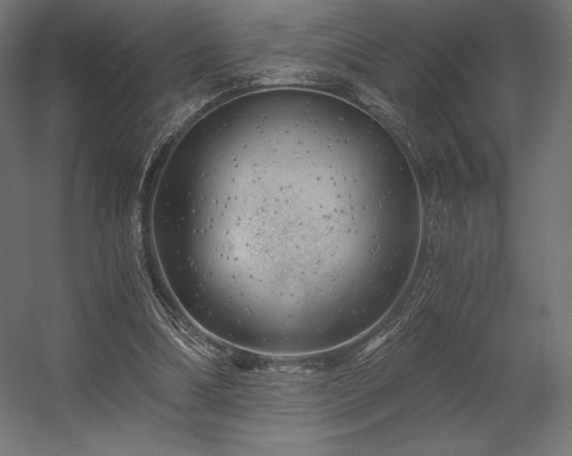 X0000056320298200509021610
