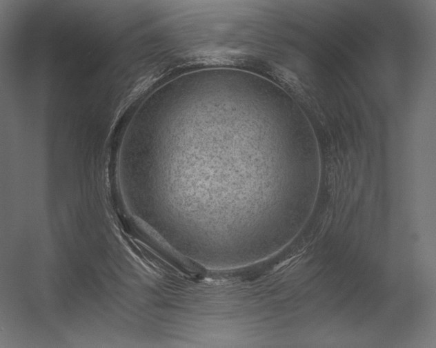 X0000056320299200509021610