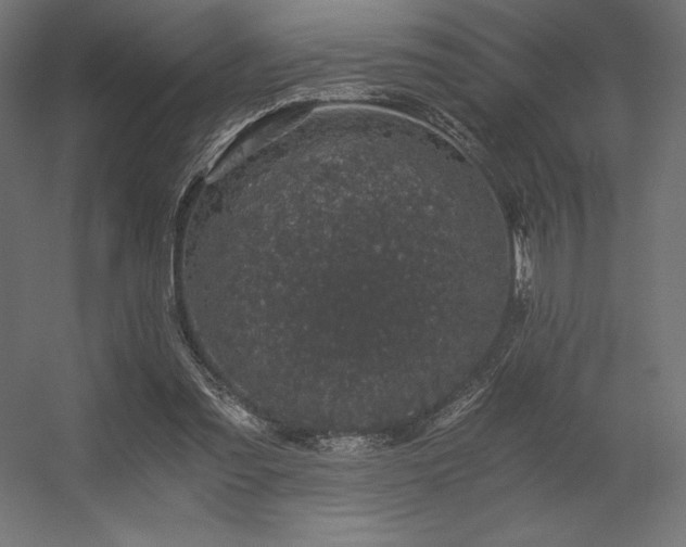 X0000056320301200509021610