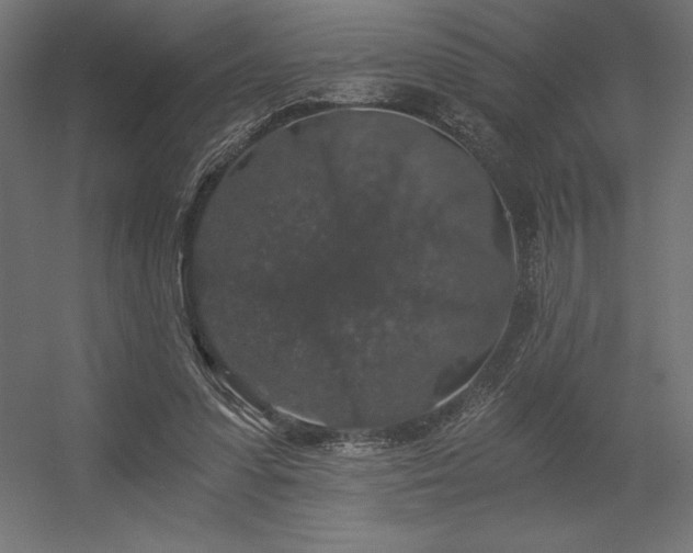 X0000056320303200509021610