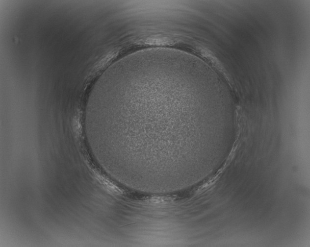 X0000056320305200509021610