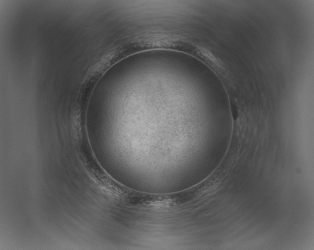 X0000056320306200509021610