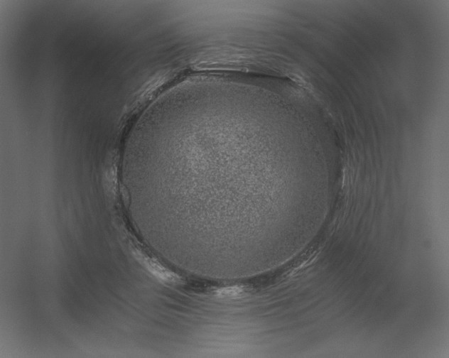X0000056320309200509021610