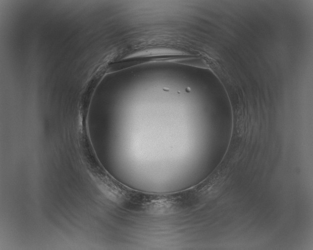 X0000056320310200509021610