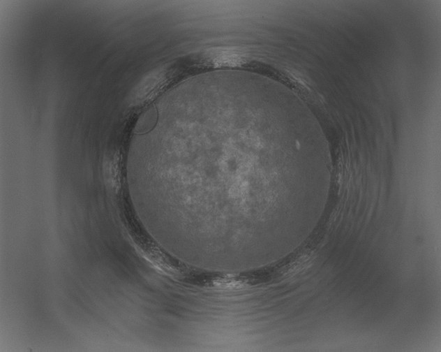 X0000056320311200509021610