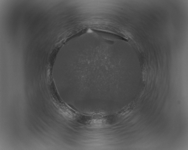X0000056320314200509021610