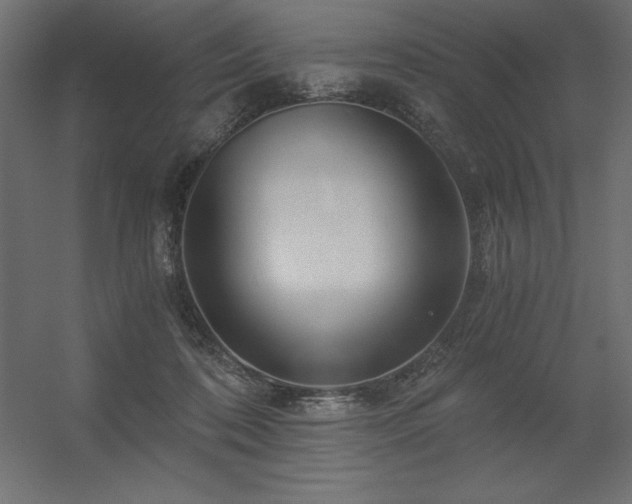 X0000056320316200509021610