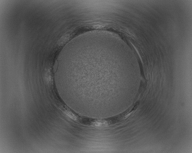 X0000056320317200509021610