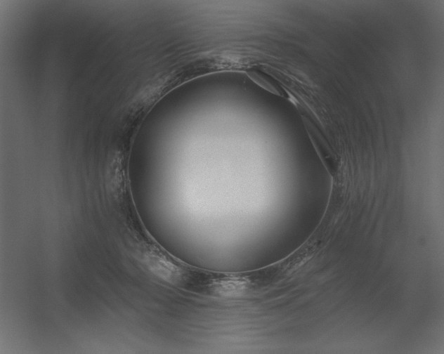 X0000056320318200509021610