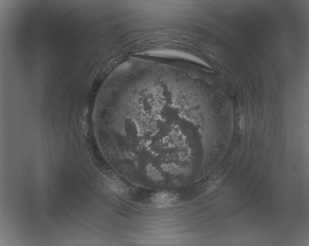 X0000056320319200509021610