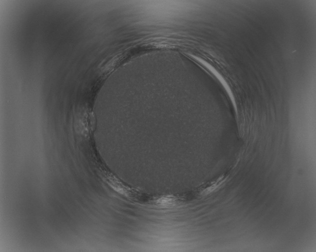 X0000056320325200509021610
