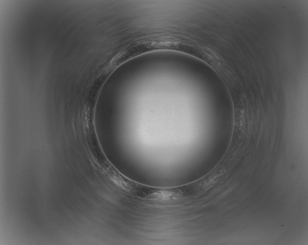X0000056320326200509021610