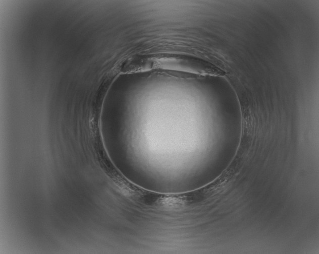 X0000056320327200509021610