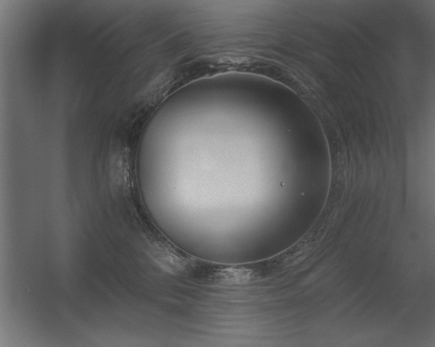 X0000056320328200509021610