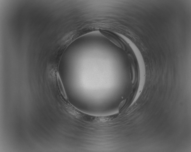 X0000056320329200509021610
