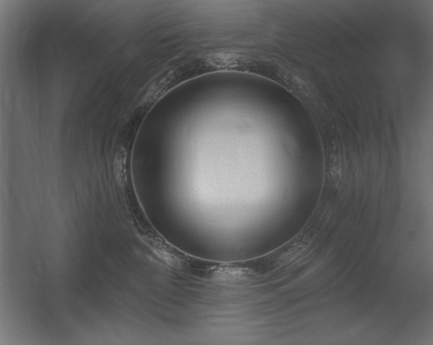 X0000056320332200509021610