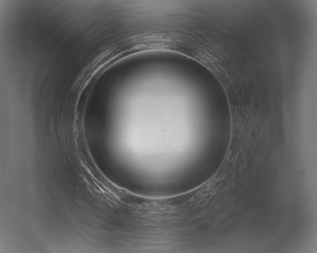 X0000056320338200509021609
