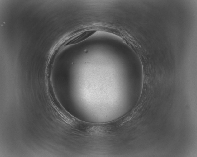 X0000056320341200509021609