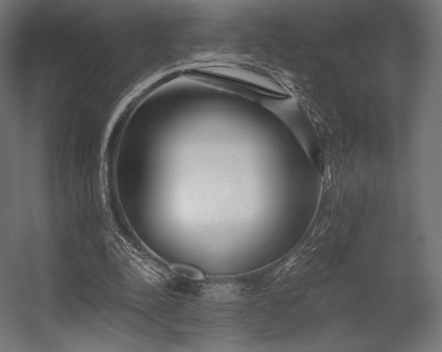 X0000056320342200509021609