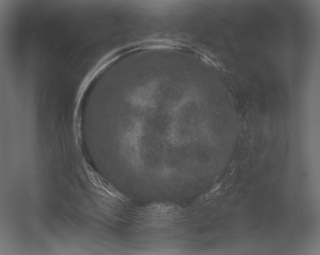 X0000056320343200509021609