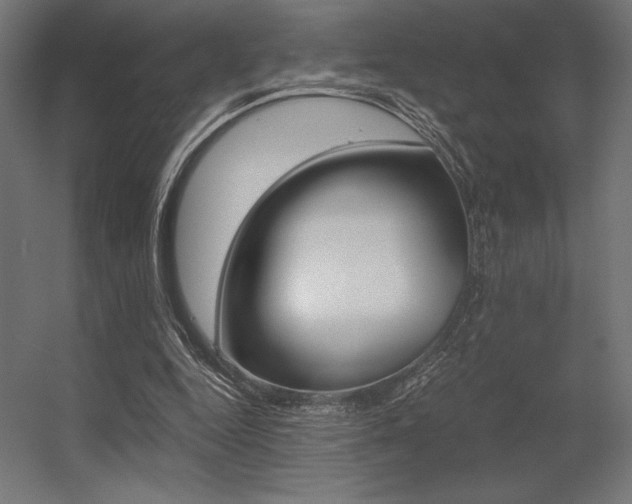 X0000056320344200509021609