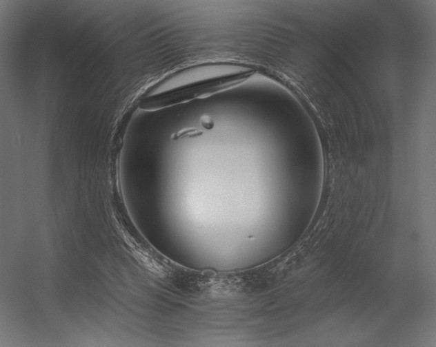 X0000056320345200509021609