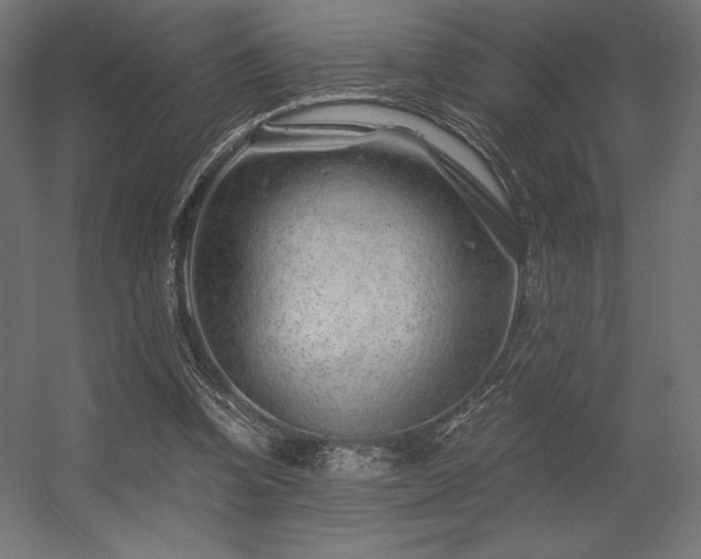 X0000056320346200509021609