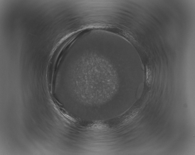 X0000056320348200509021609