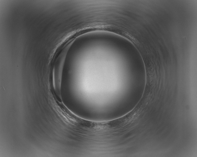 X0000056320350200509021609