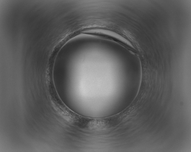 X0000056320354200509021609