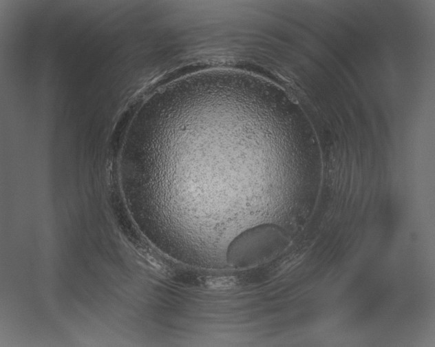X0000056320355200509021609