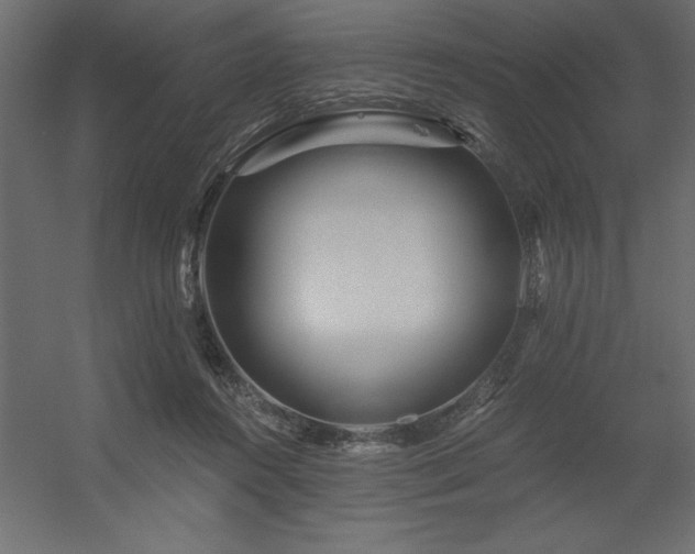 X0000056320360200509021609