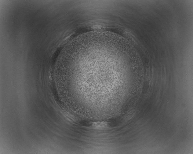 X0000056320363200509021609