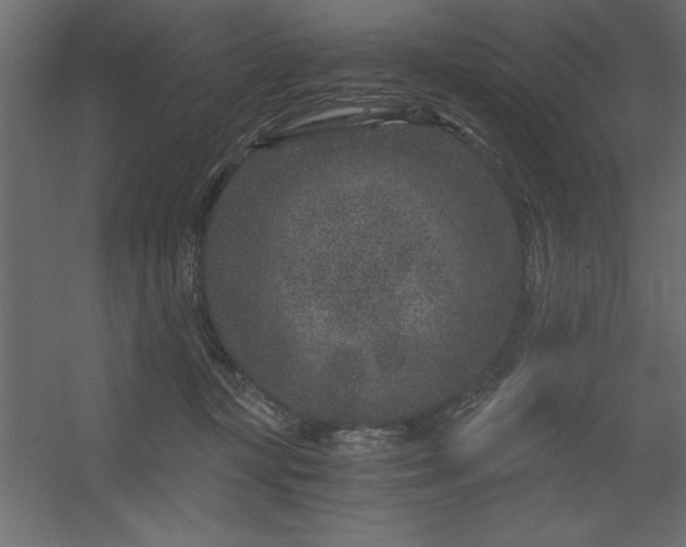 X0000056320367200509021609