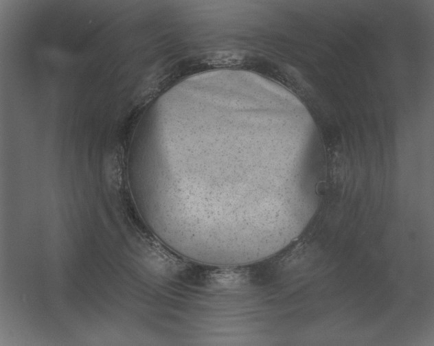 X0000056320370200509021609