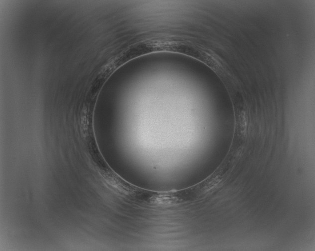 X0000056320372200509021609