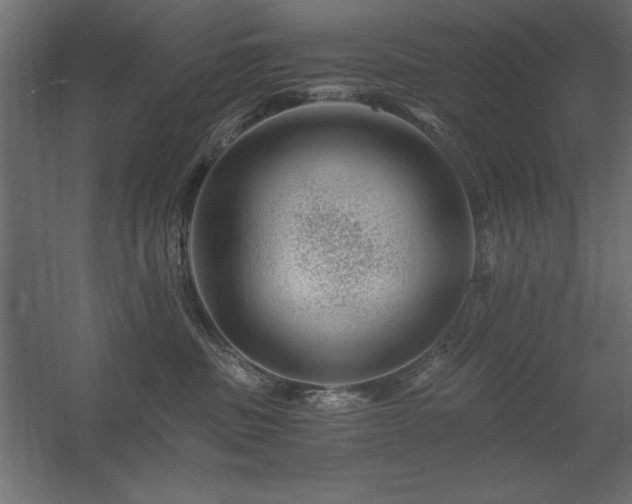 X0000056320379200509021609