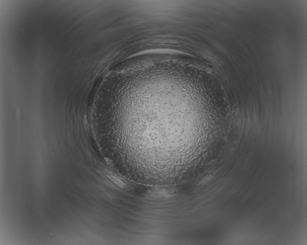X0000056320381200509021609
