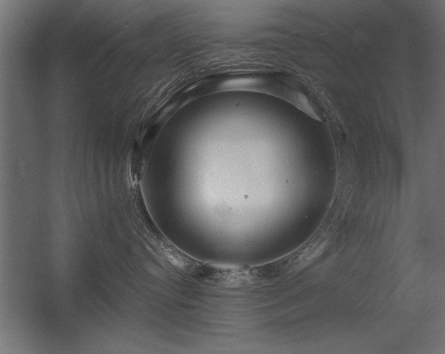 X0000056320384200509021609