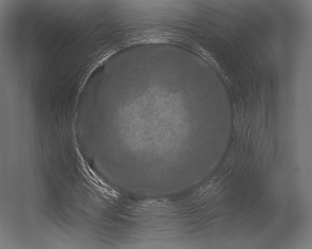 X0000056320386200509021609