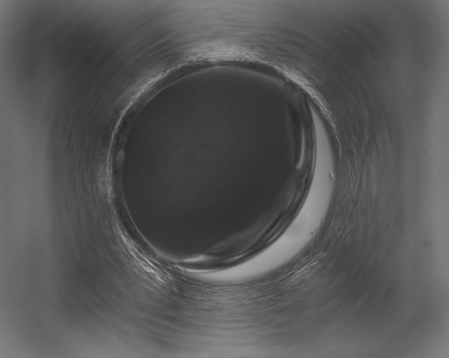 X0000056320391200509021609